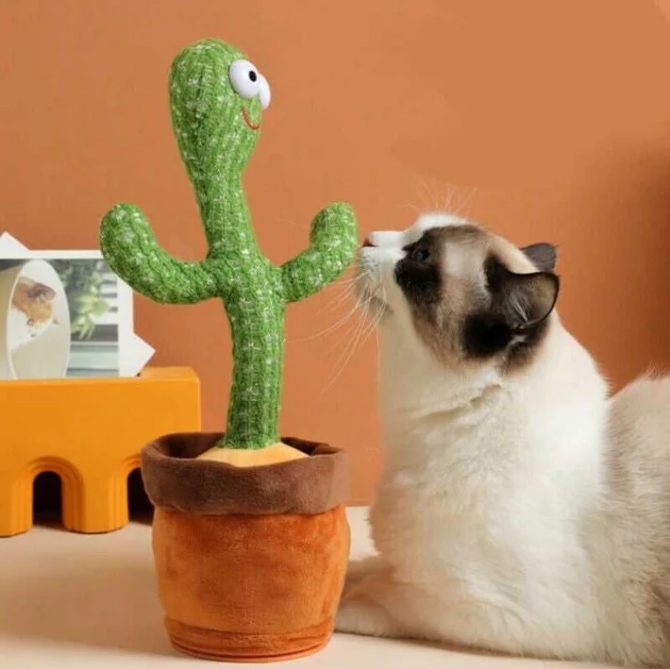 Magični Kaktus koji ponavlja reči za nama, svetli i pleše 🌵